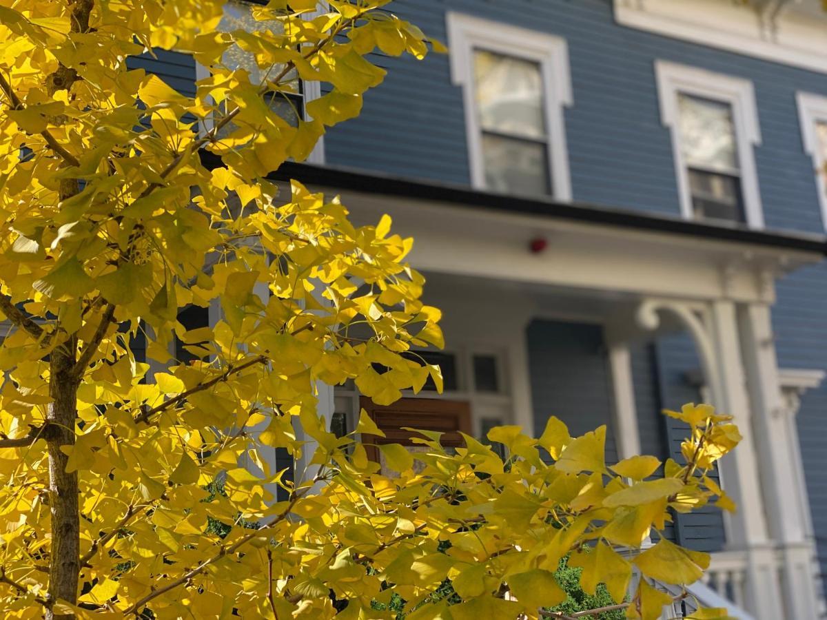 Ginkgo House On Harvard Inn