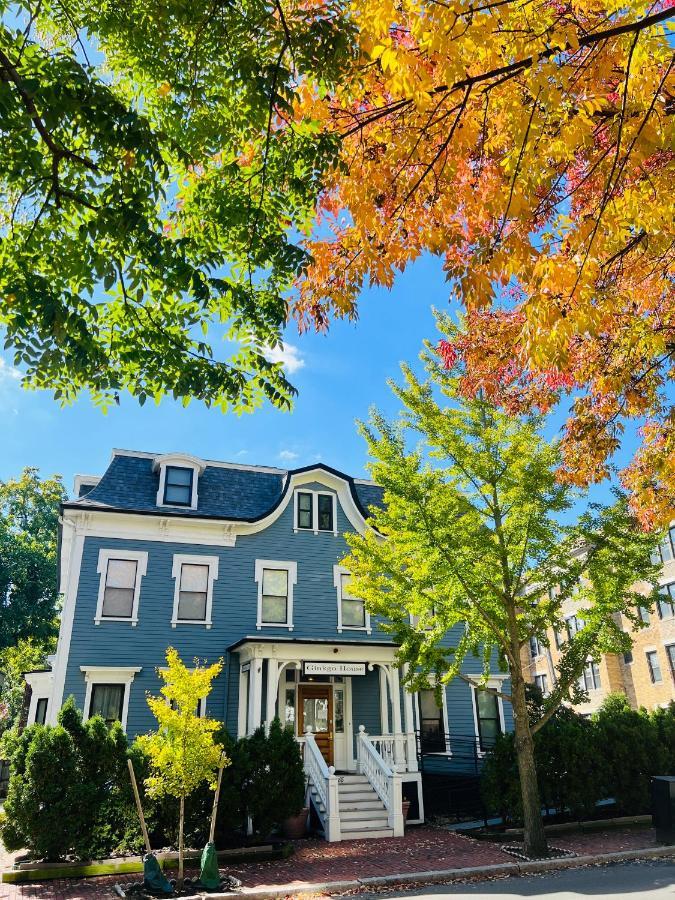 Ginkgo House On Harvard Cambridge